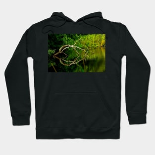 The art pond - Trébabu Hoodie